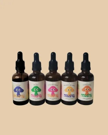 Pack Completo de Tinturas Medicinales – 5 Hongos Adaptógenos